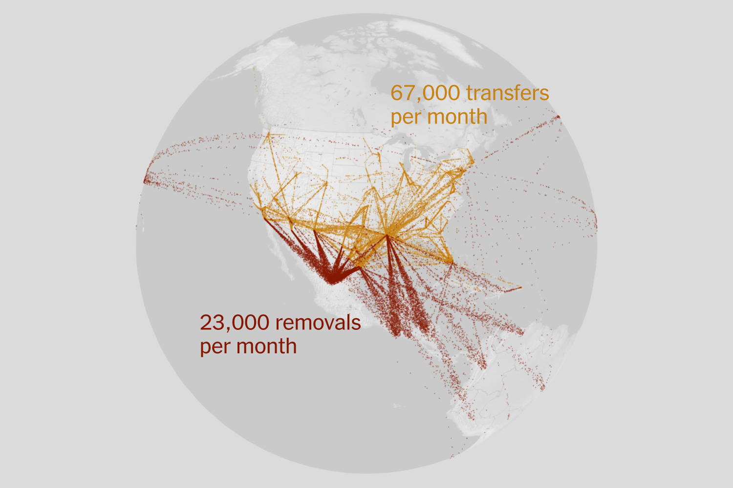 The Complex Deportation Network Behind Trump’s Immigration Crackdown